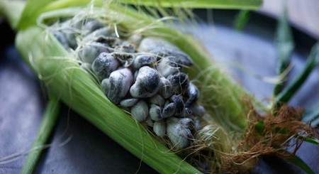 5 beneficios de comer huitlacoche