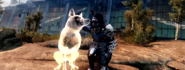 El emote de Destiny 2 "Loyal Companion" guarda una bonita historia de superación y amistad que será eterna en el juego 