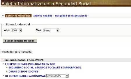 BISS: boletín informativo de la Seguridad Social