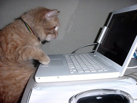 MacBooks con trackpad... ¿de cristal?
