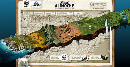 Sigue los pasos migratorios del alimoche
