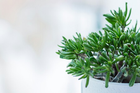 Freestocks Emqlhm12ofi Unsplash