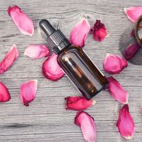 Love Your Body Days en The Body Shop: 25% de descuento con este cupón