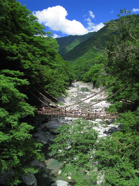 Tokushima Miyoshi Iyanokazurabashi 1 2