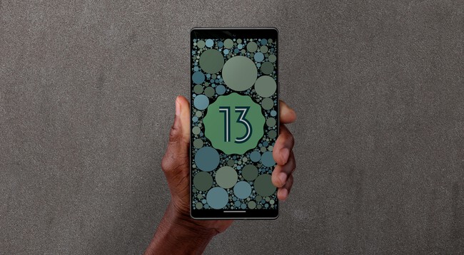 Google Pixel 6 Pro Con Android 13