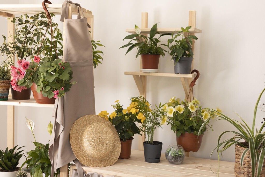 Seis plantas con flor fáciles de cuidar y que florecen casi todo el año