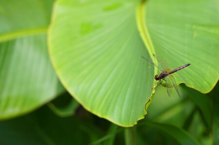 Costa Rica Anabel Palomares 15