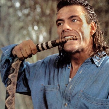 Van Damme