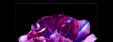 El S95F es un rival difícil de batir. Samsung ha afinado sus nuevos OLED S95H y S99H en paneles y conectividad para conseguirlo