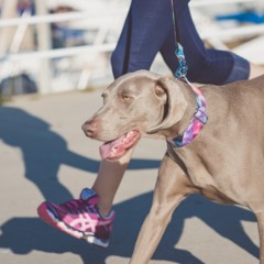 Foto 2 de 9 de la galería brott-barcelona en Trendencias Lifestyle