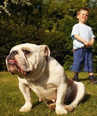 Los perros grandes son peligrosos para los niños pequeños
