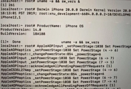 iOS 14の内部テスト版のカーネルとされるもの