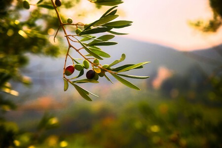 Lucio Patone Gt4fnwpbjfo Unsplash