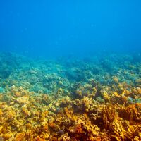 Perfuramos o fundo do mar a uma profundidade de 2.500 metros; e encontramos coisas que não imaginávamos serem possíveis 