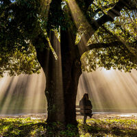 Reparar el duelo y la soledad por la muerte de un hijo con la llegada de otro: mi opinión como psicóloga 