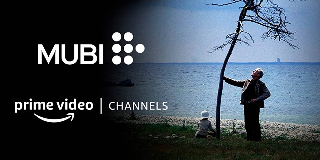 Más películas y series en Amazon Prime Video: llegan los nuevos canales bajo suscripción