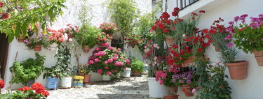 Siete pueblos con encanto en el interior de Andalucía: qué ver y qué hacer