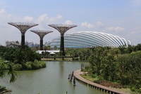 Los Jardines de la Bahía de Singapur: súper árboles e invernaderos colosales 
