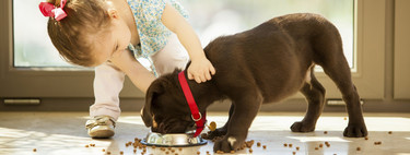 Tener mascotas en casa durante el primer año de los niños ayudaría a prevenir la aparición de alergias