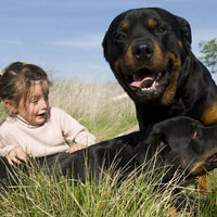 Las impactantes imágenes de una madre defendiendo a su hijo del ataque de unos perros