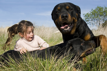 Las impactantes imágenes de una madre defendiendo a su hijo del ataque de unos perros