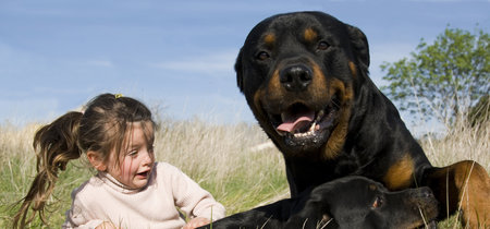 Las impactantes imágenes de una madre defendiendo a su hijo del ataque de unos perros