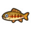 Golden Trout