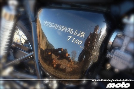 Triumph Bonneville T-100