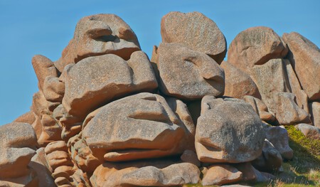 Rostinhos nas pedras?