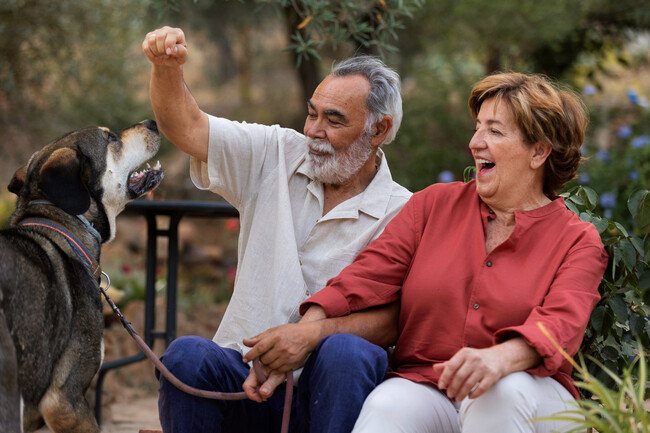 Pareja celebrando la jubilación