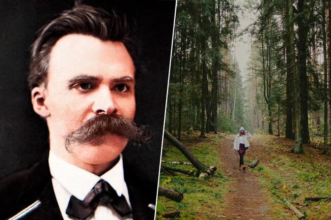 Naturaleza Nietzsche