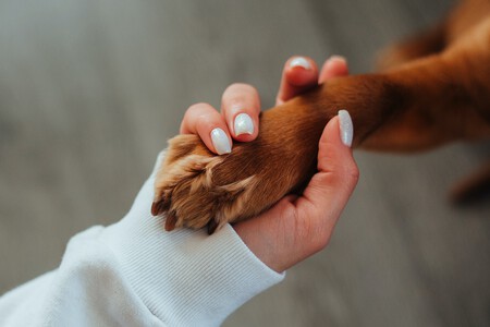 Mujer y perro