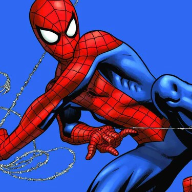 Spider Man Lanzarredes