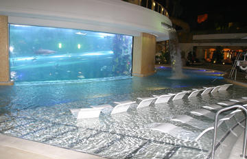 Tiburones en Las Vegas