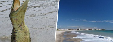 Uma praia em Tarragona descobriu que há algo pior do que avistar um tubarão: avistar um crocodilo de 1,5 m