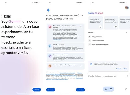 インストール後に Gemini を起動する