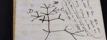 Hace 22 años alguien robó los manuscritos del "Árbol de la vida" de Darwin. Ahora un misterioso anónimo los ha devuelto