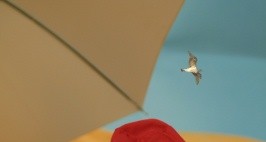 Protector solar en bebés menores de seis meses ¿si o no?