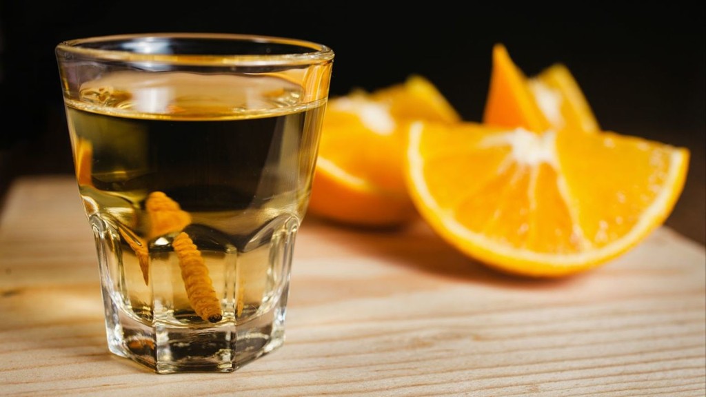 Saca los caballitos: ya llegó la Feria del Mezcal 2019 a Oaxaca