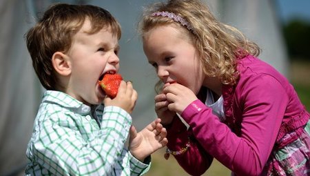 ¿La forma de alimentar a un bebé influye en su rendimiento escolar?