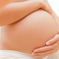 Qué son los cuatro planos de Hodge y para qué sirven en el parto