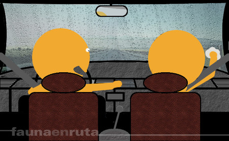 fauna en ruta: campo visual