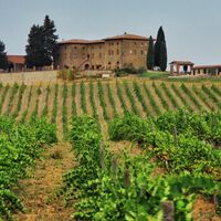 El robo del siglo en la Toscana: alguien se ha llevado en dos camiones 30.000 botellas de vino valoradas en cinco millones de euros