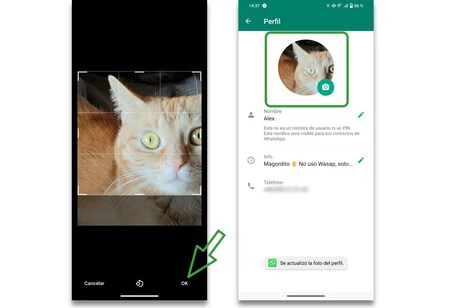cómo cambiar imagen perfil whatsapp android
