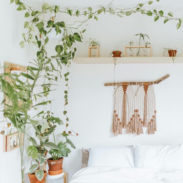 Si tu casa está llena de plantas estás de enhorabuena: te ayudan con el estrés sin saberlo