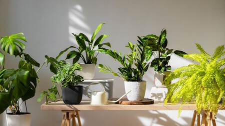 5 formas ecónimicas de quitarse el calor sin ventilador, ¡sí funcionan!
