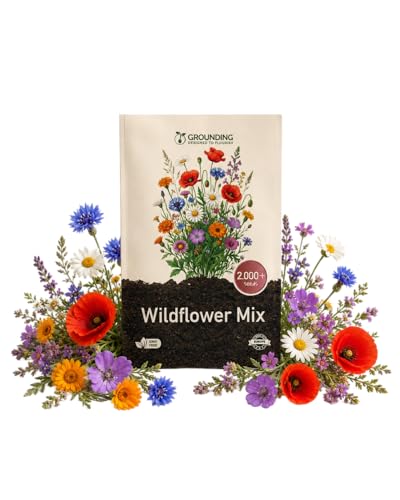 Grounding - Mezcla de Flores Silvestres Multicolor (Wildflower Mix), 2000+ semillas - Efecto pradera natural, atrae polinizadores (abejas y mariposas) - Calidad Europea