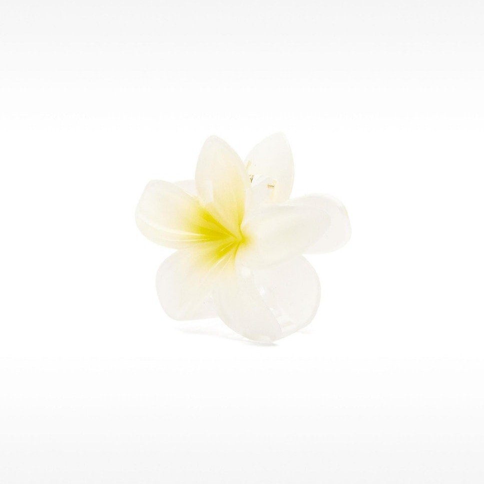 Parfois
Pinza para el pelo con forma de flor en liso