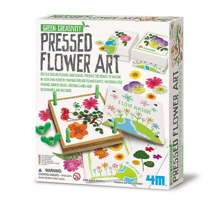Green Creativity Flores Prensadas