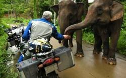 motos tailandia